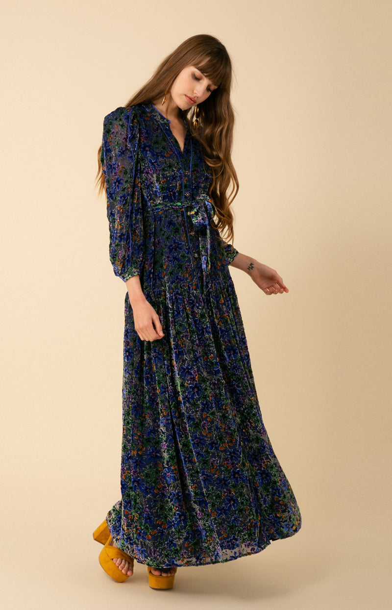 Heloise Velvet Burnout Maxi Dress, color_blue