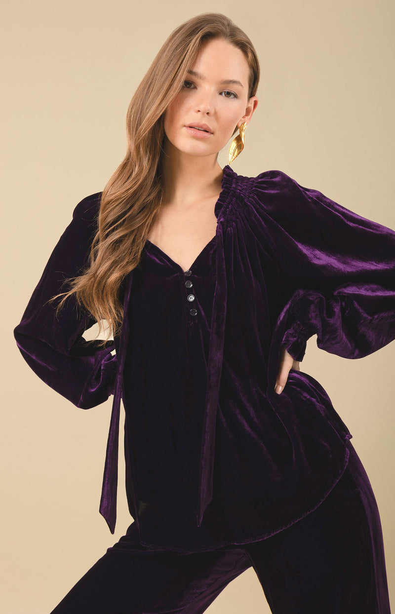 Kinley Velvet Top, color_purple