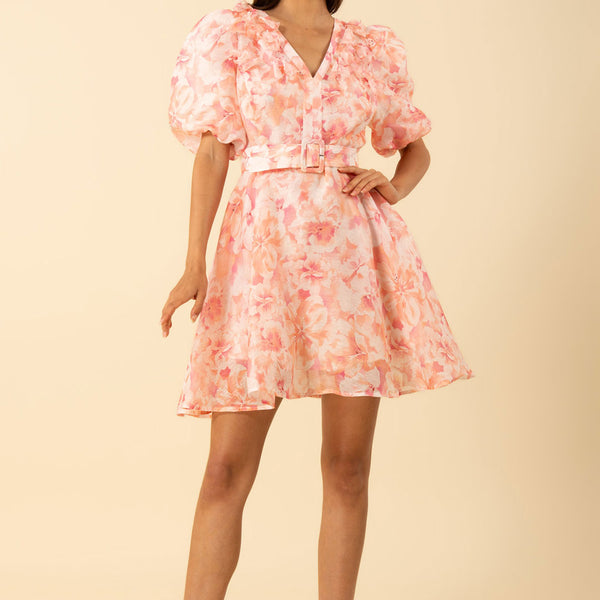 Promise Floral Trim Organza Dress