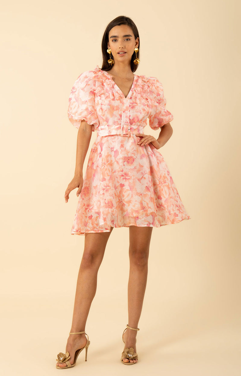 Promise Floral Trim Organza Dress Pink / XL Promise Floral Trim Organza Dress Pink / XL