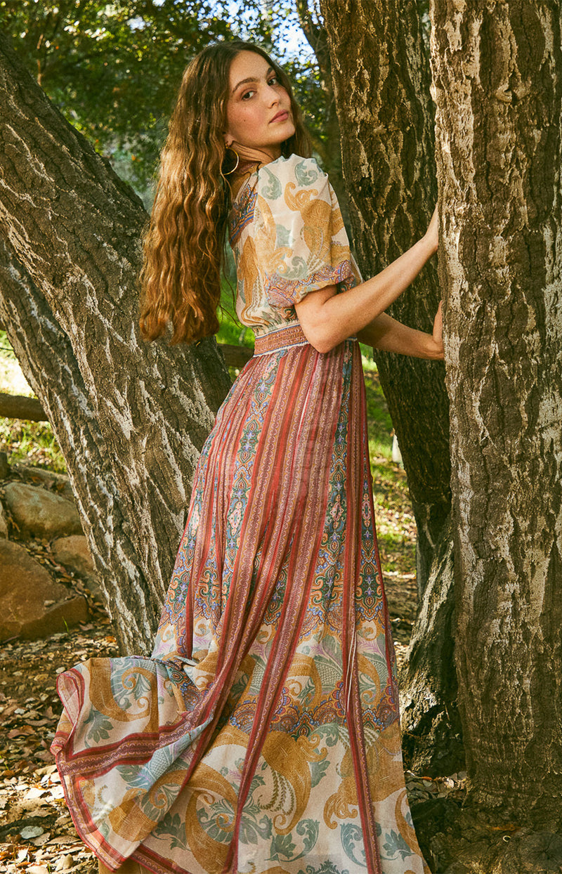 Liliosa Chiffon Maxi Dress