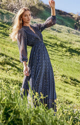 Blythe Chiffon Maxi Dress