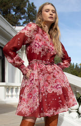 Violetta Organza Dress