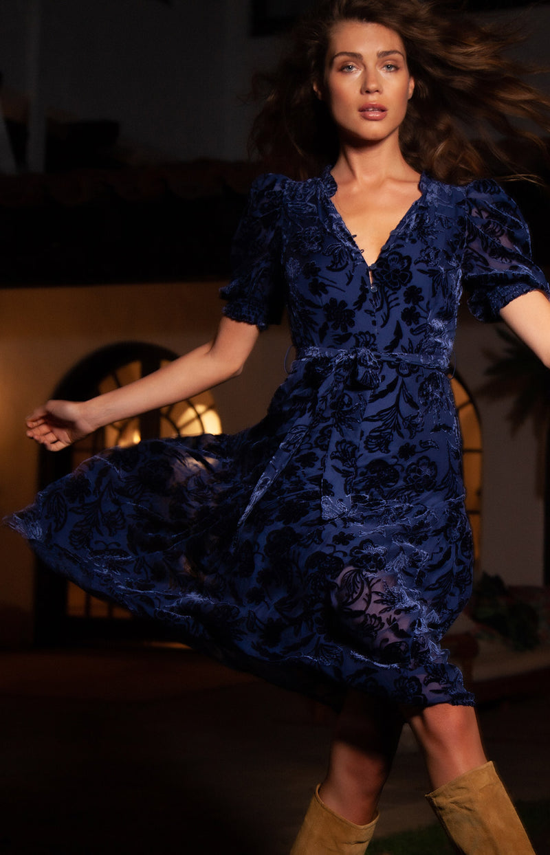 Kimbra Solid Velvet Burnout Dress, color_navy